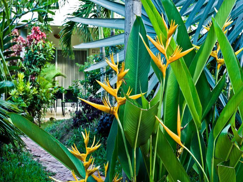 Battambang Resort Eksteriør billede